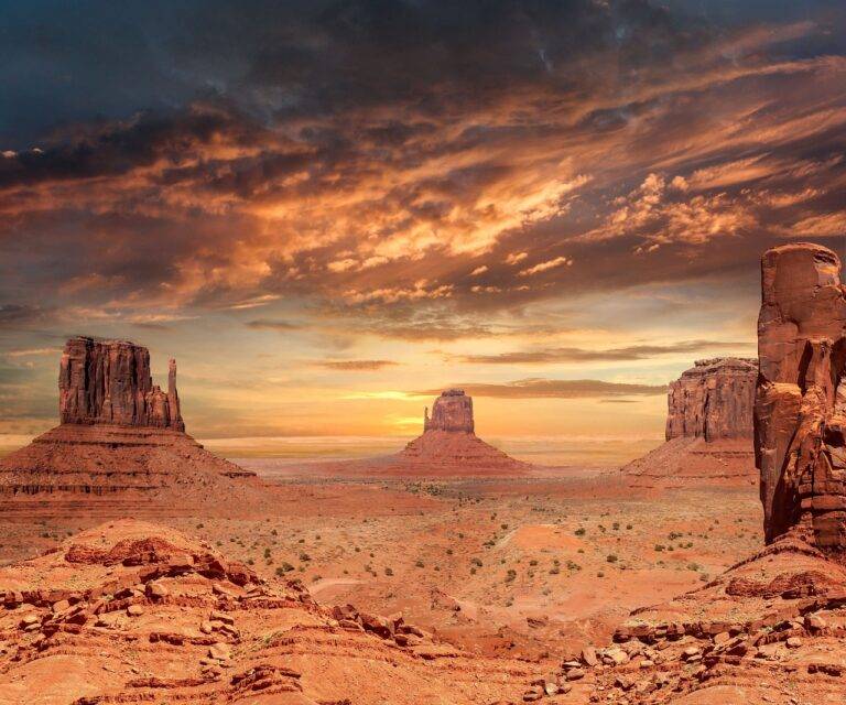 The Revival of Road Trips: Rediscovering the Joy of Journeying by Car
