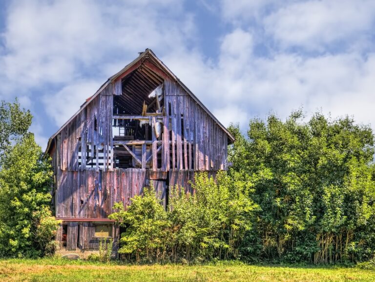 Sustainable Materials: A New Era in Demolition: Laser 247 new id, Lotus365win, Sky247 com login password