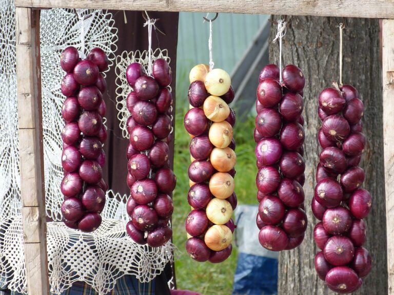 Exploring Agroecological Practices in Rainfed Agriculture Systems: World777 login, 11xplay online, Betbook247