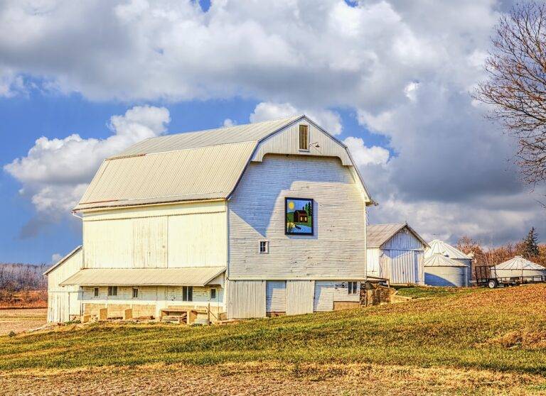 Maximizing Value: Strategic Demolition Planning: Silverexch.com, Goldenexchange, Betbook247.com