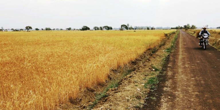 The Science of Agroecological Nutrient Management: Enhancing Recycling and Efficiency: Cricketbet999 login, 11xplay online id login, Betbhai9 com